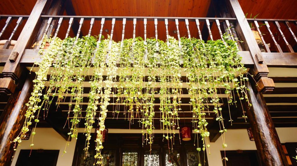 Lijiang Wangjia Courtyard Inn Luaran gambar